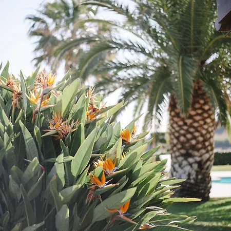 Villa Luxury Maria - Piscina Privata